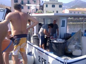 080920121107 pesce spada appena pescato.jpg